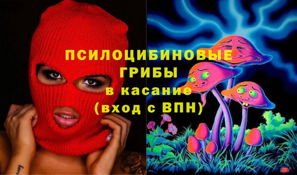 марки lsd Абаза