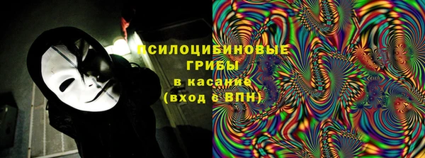 марки lsd Абаза
