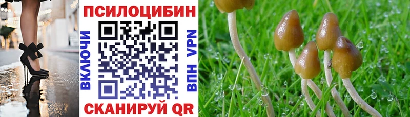 наркошоп  Агидель  Галлюциногенные грибы GOLDEN TEACHER 